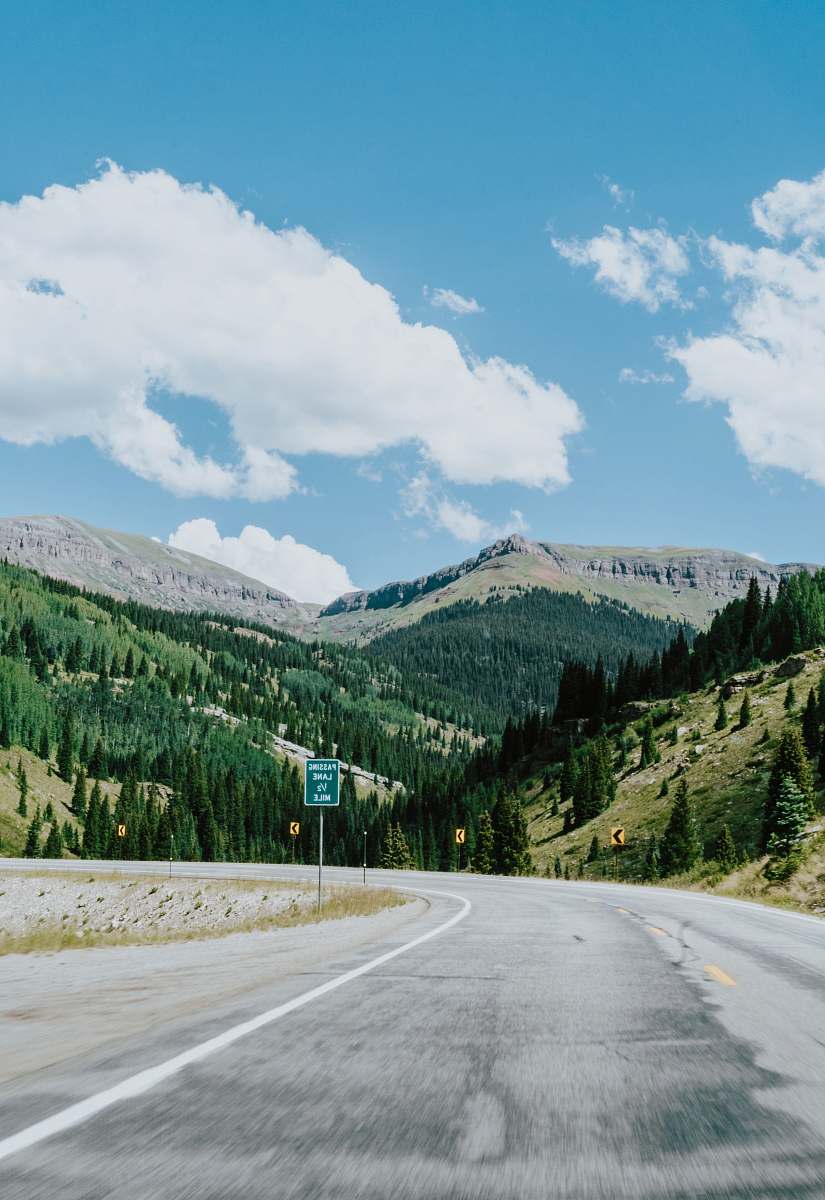 tree road with street sign overlooking mountain conifer