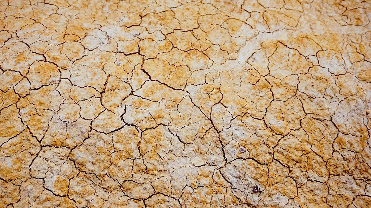 ground photo of dried brown soil soil