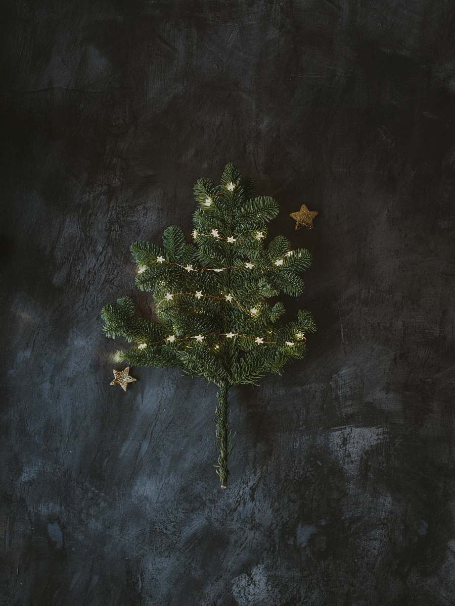 plant green Christmas tree on gray surface ornament