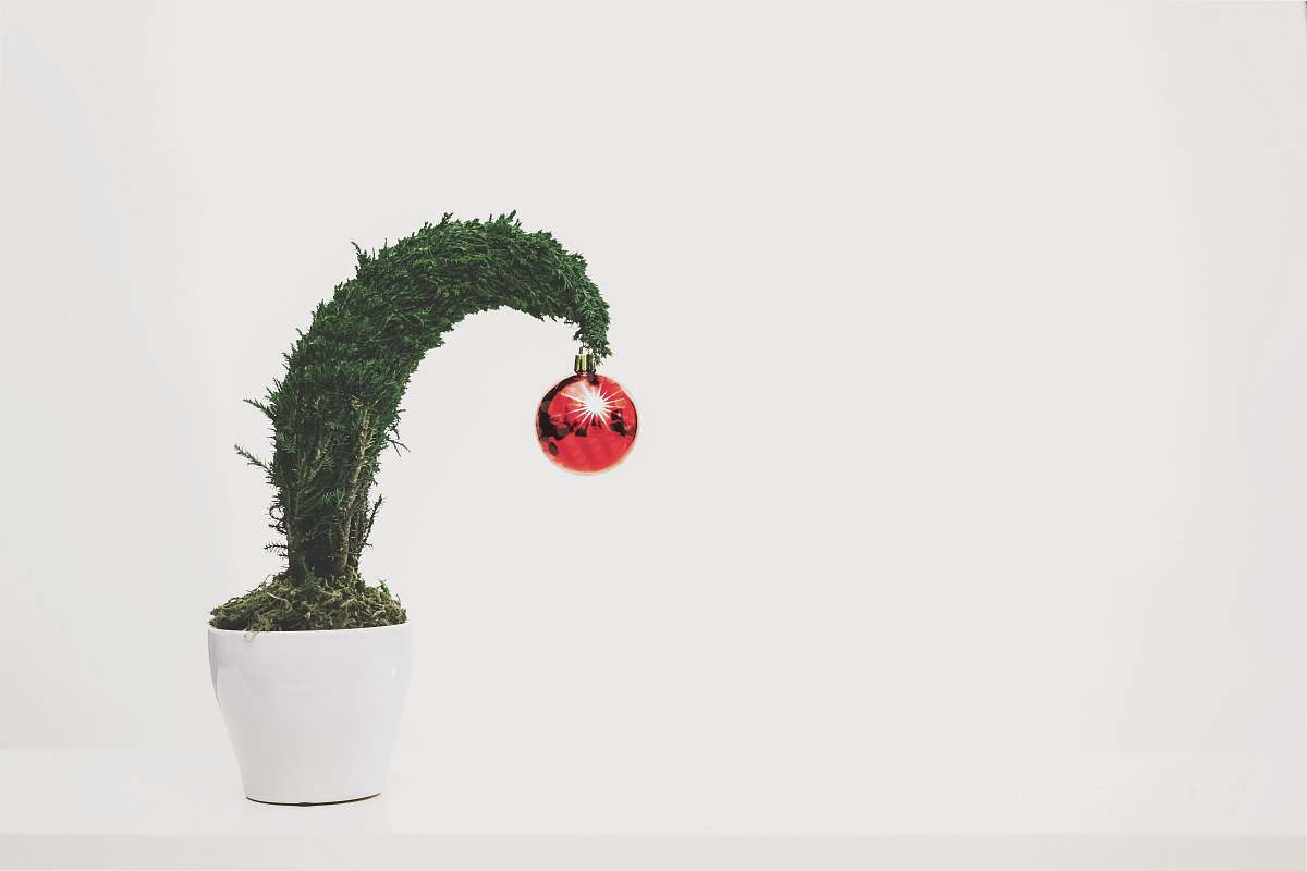 planter green leafed plant with red bauble jar