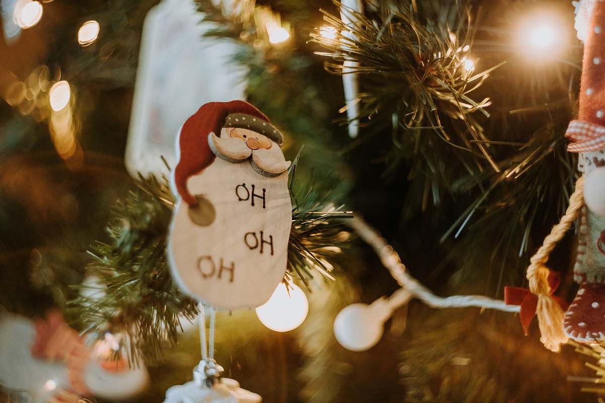 ornament Santa Claus decor plant