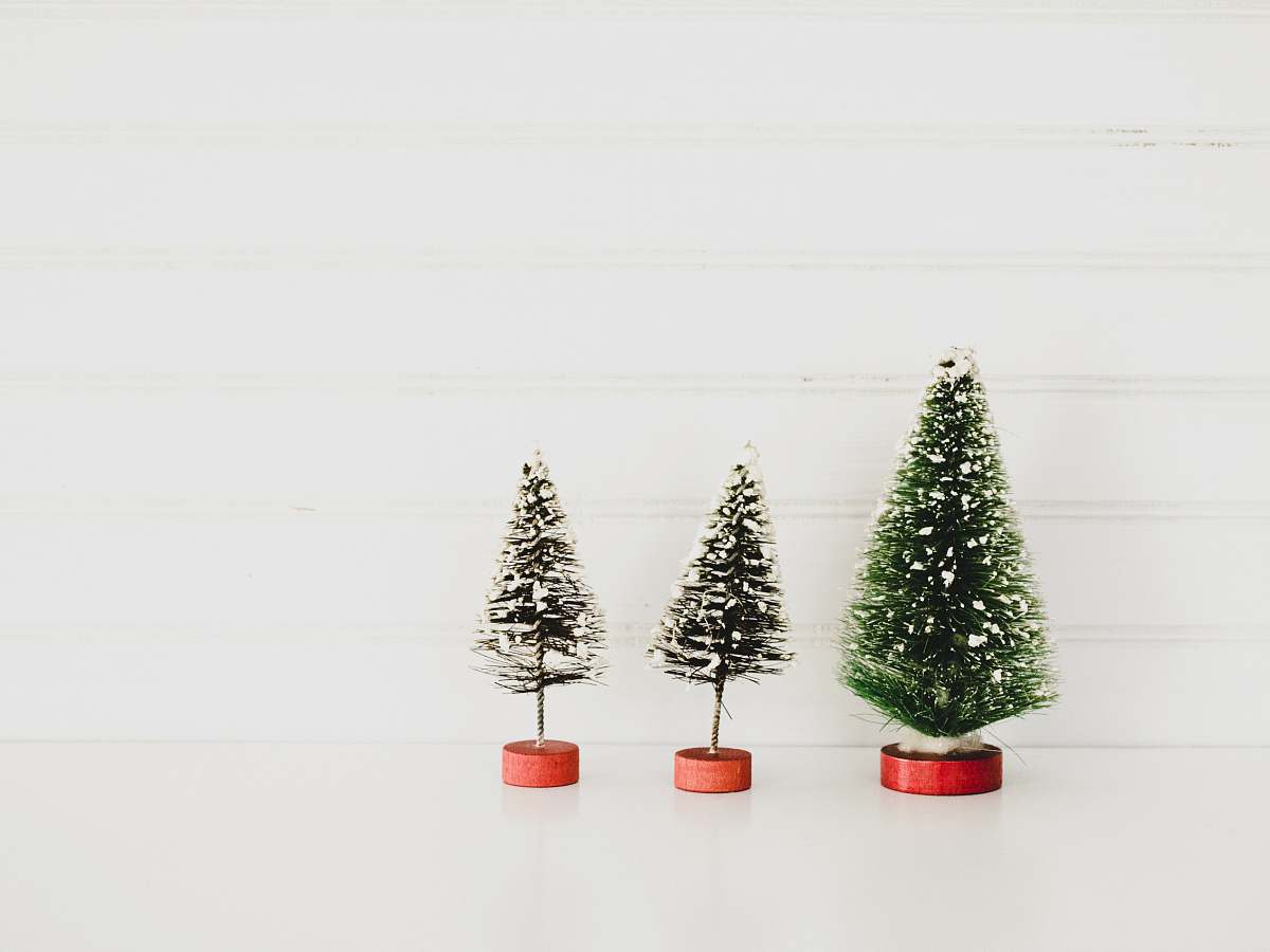 ornament three green christmas tree decors plant