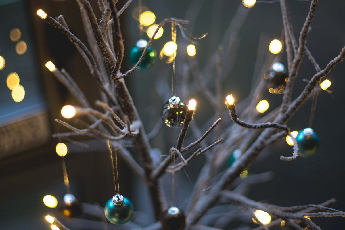 christmas turned on string lights hanging on bare tree with baubles grey