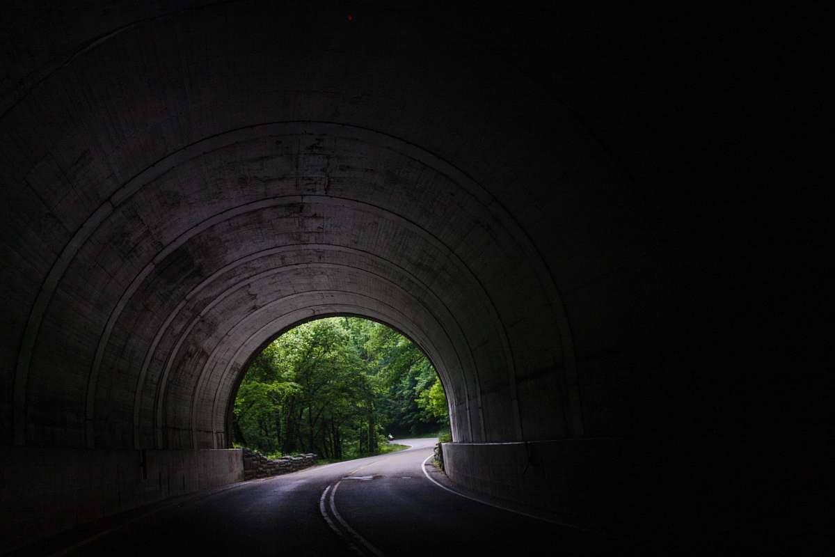 passage tunnel near trees at daytime passageway