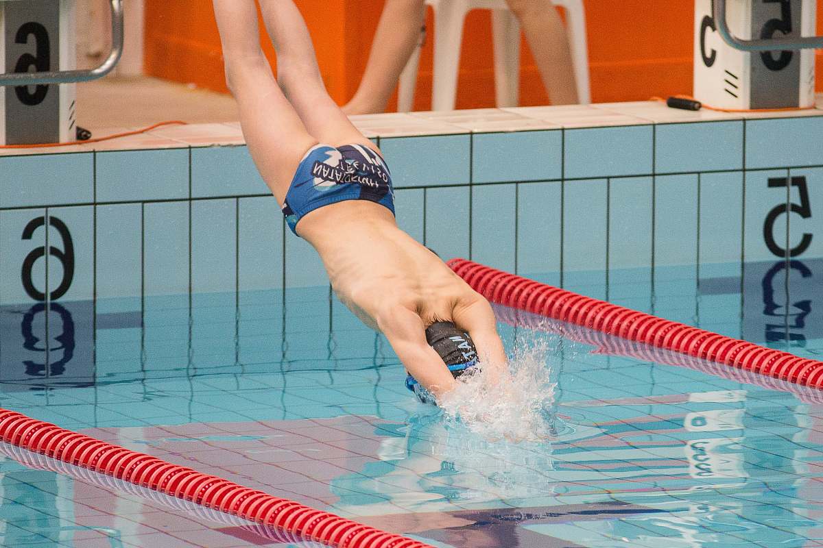 swimming man diving on swimming pool at daytime sport