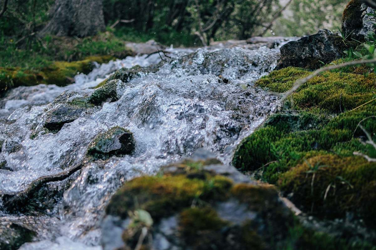 moss rocks on creek nature