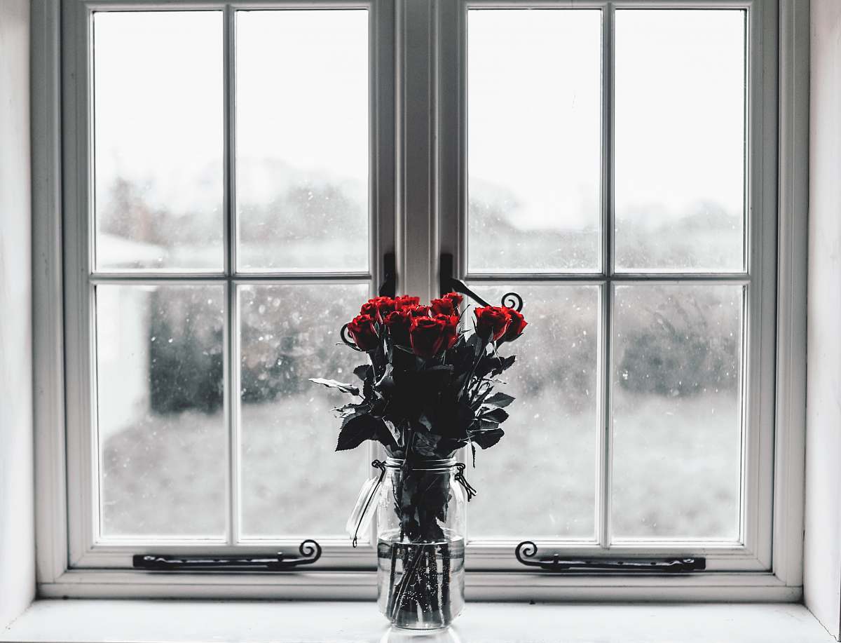 flower selective colors photography of red roses inside clear glass jar filled with water red