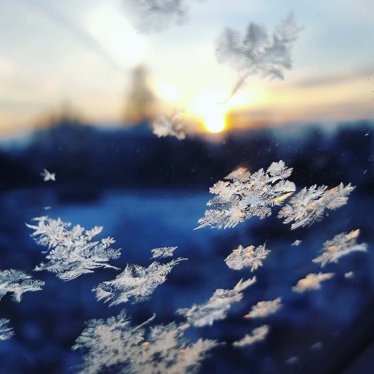 snow closeup photo of snowflakes ice