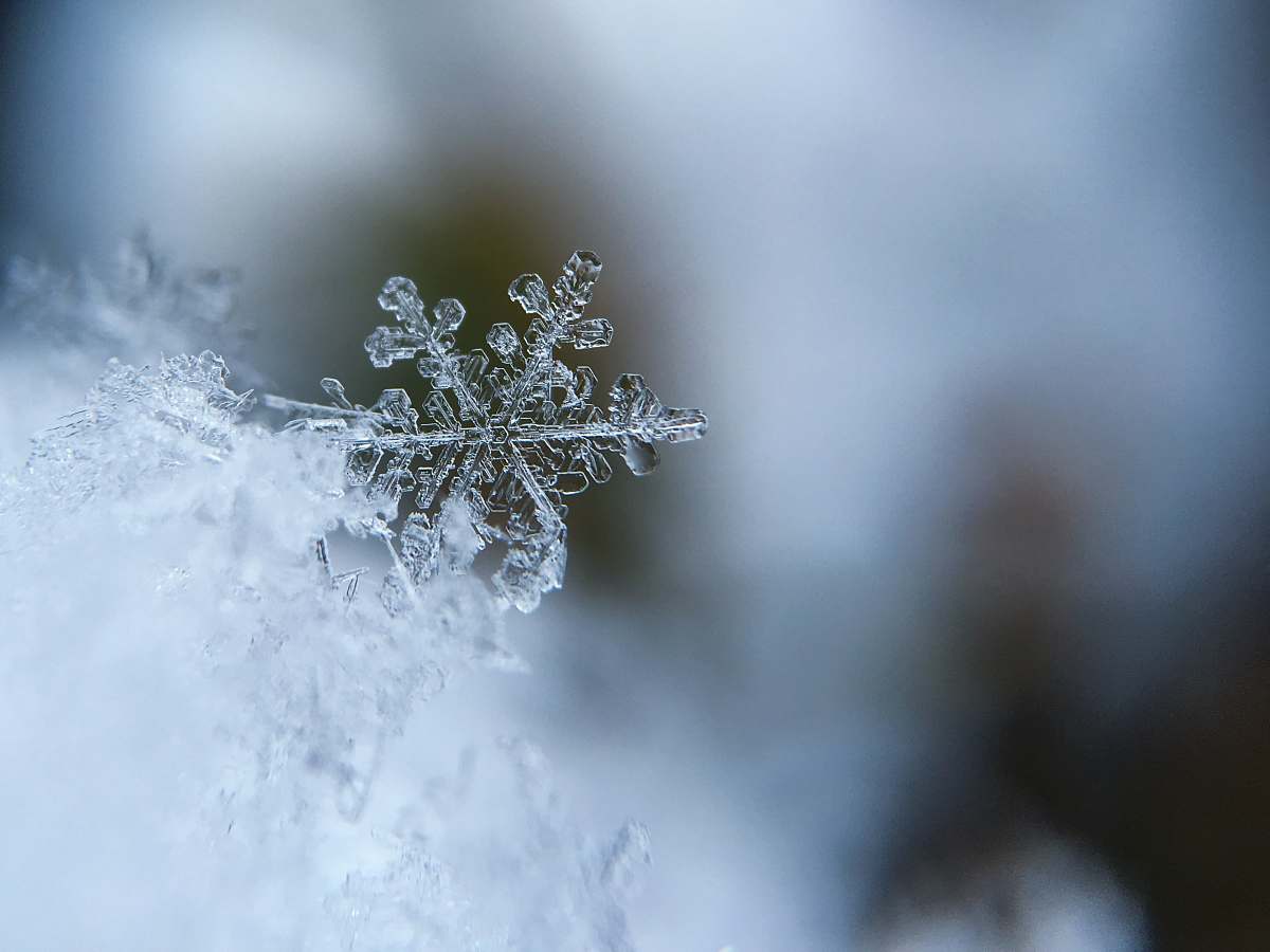 snow focused photo of a snow flake ice