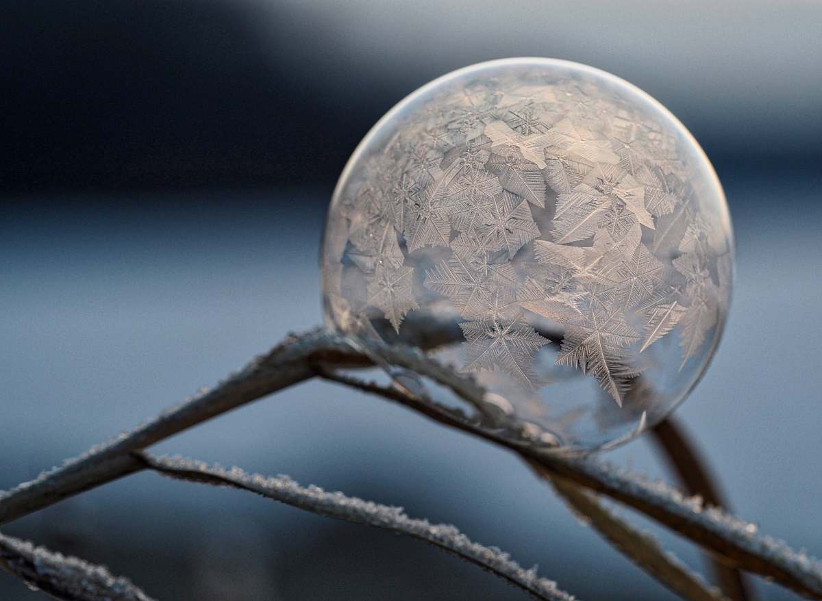 ice micro photography of bubble frost
