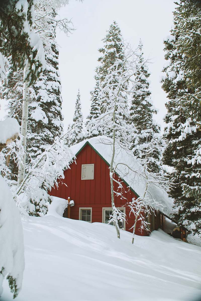 snow snow covered wooden house during daytime forest