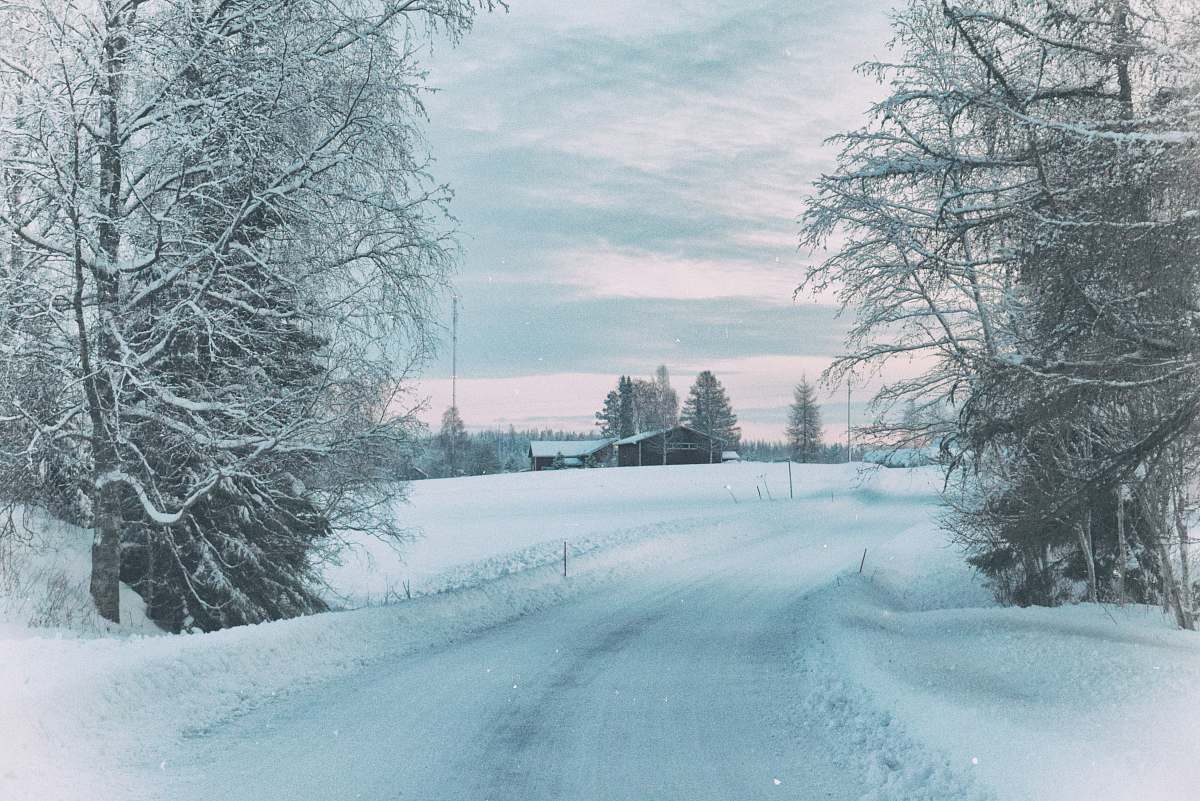 snow snow covered road between bare trees under cloudy sky during daytime blizzard