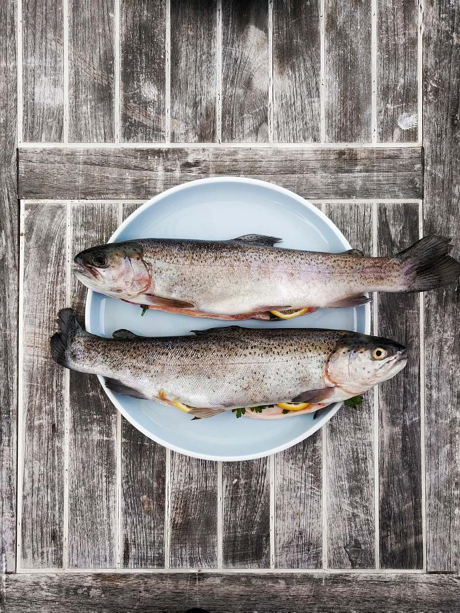 food two silver fishes on round white ceramic plate trout