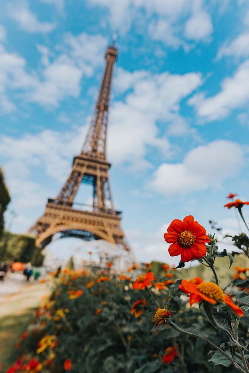 tower garden of flower near Eiffel Tower france