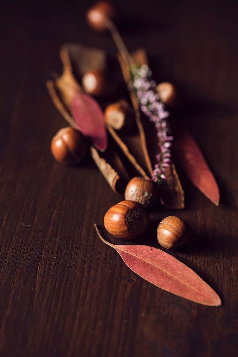 fall assorted brown nut of surface acorn