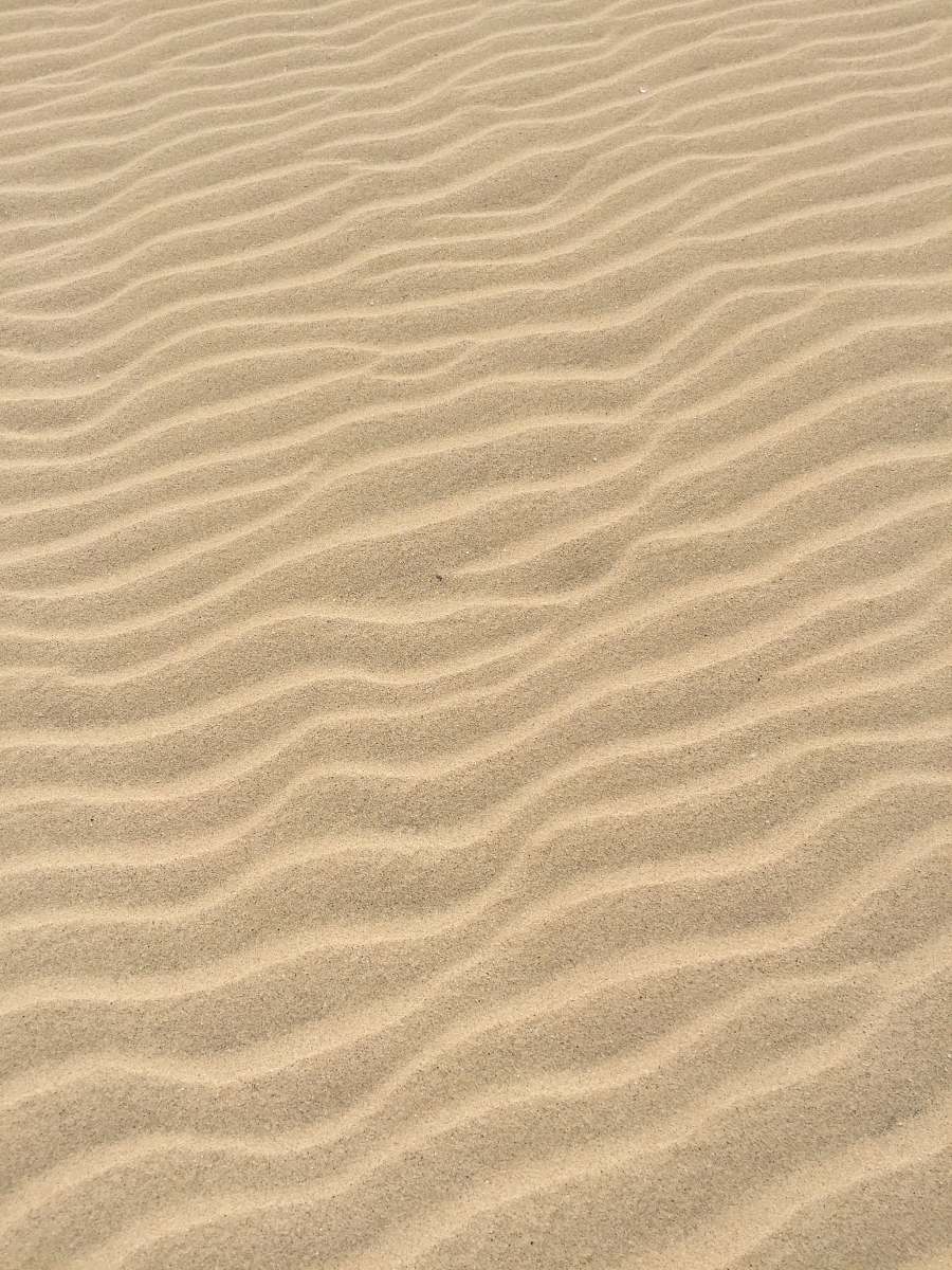 sand brown sands texture