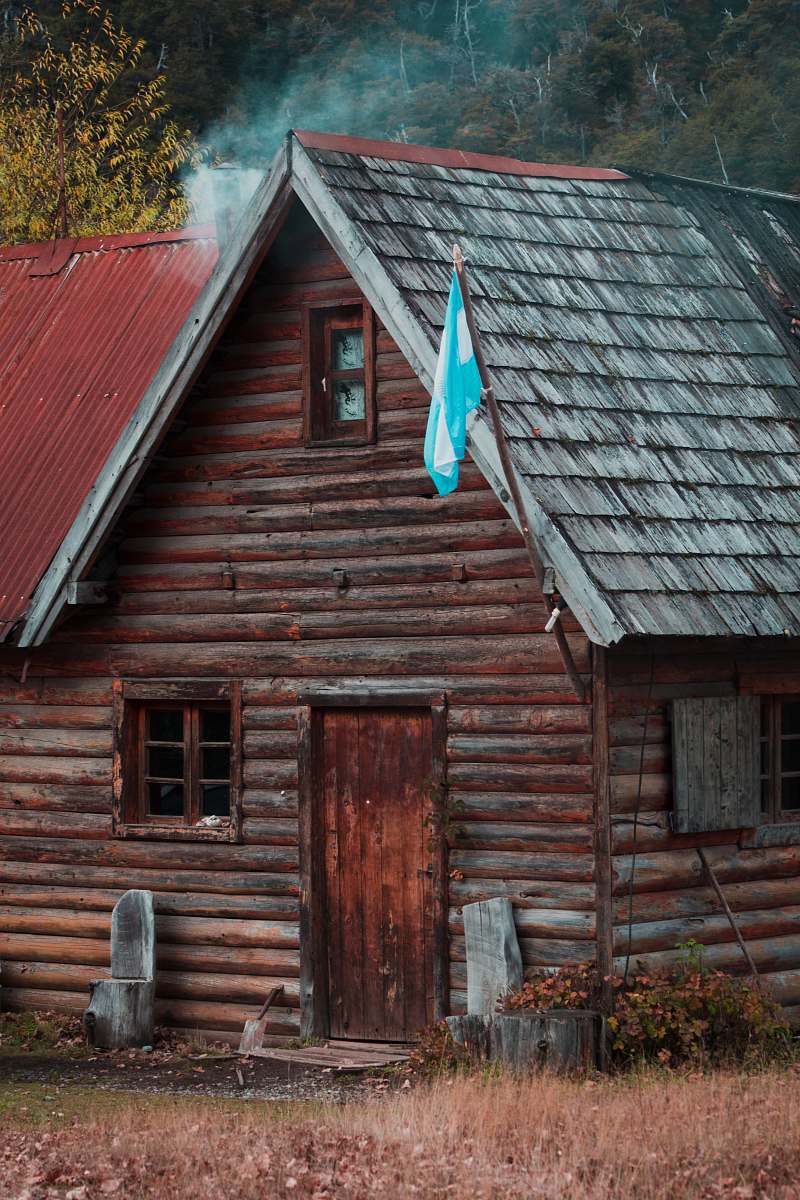 housing brown cabin house