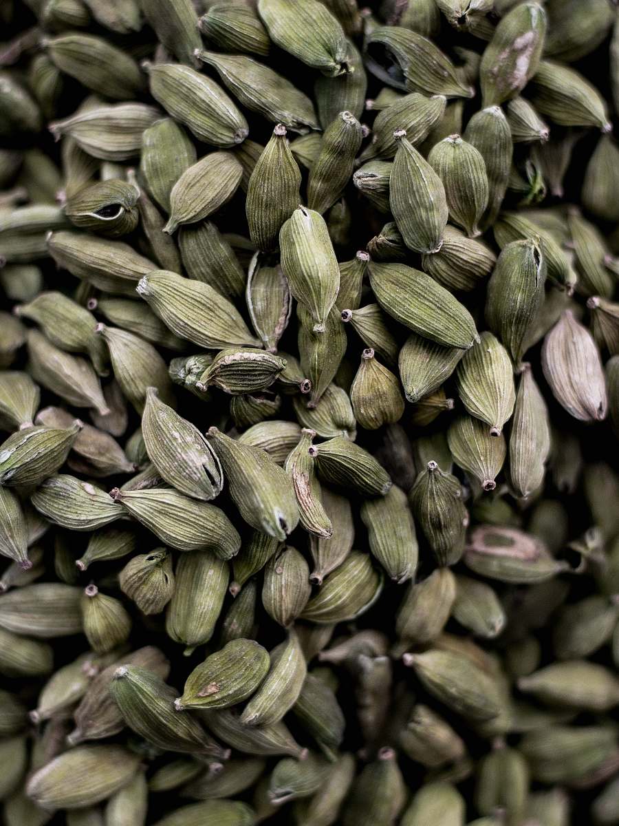 plant close-up photography of nuts vegetable
