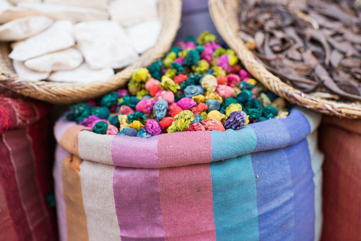 animal several assorted spices in sacks reptile