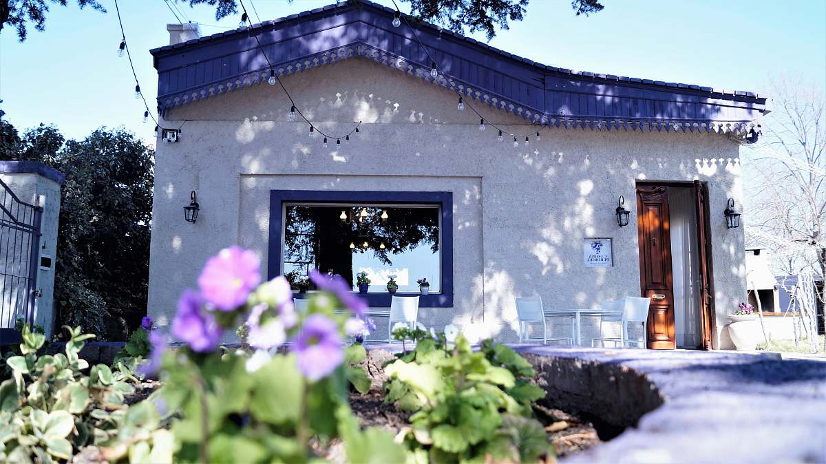 argentina white and blue painted concrete house jar