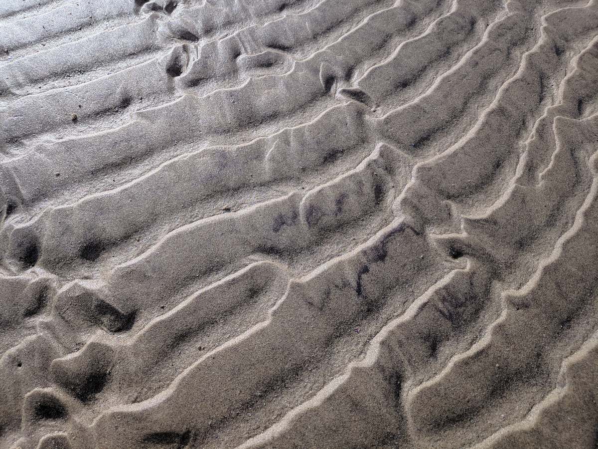 sand  outdoors