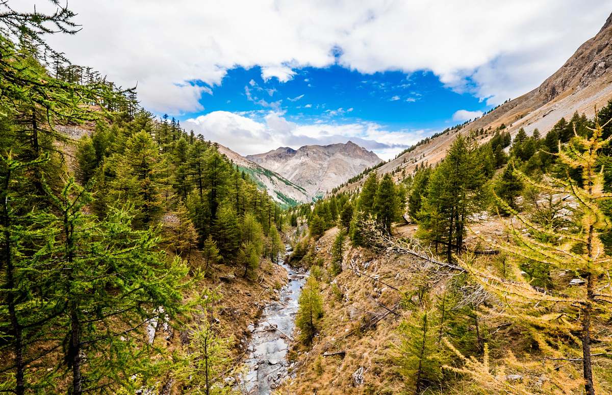 outdoors aerial photography of river surrounded by trees mountain