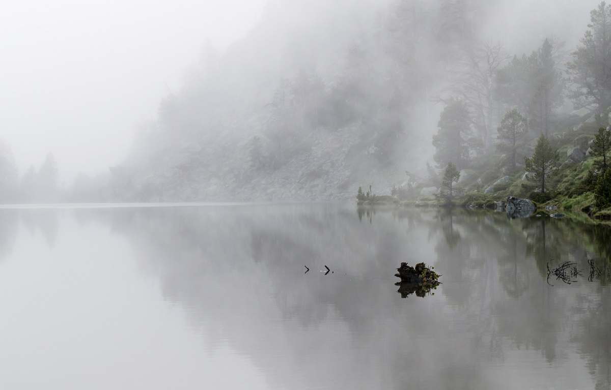 mist foggy mountain fog