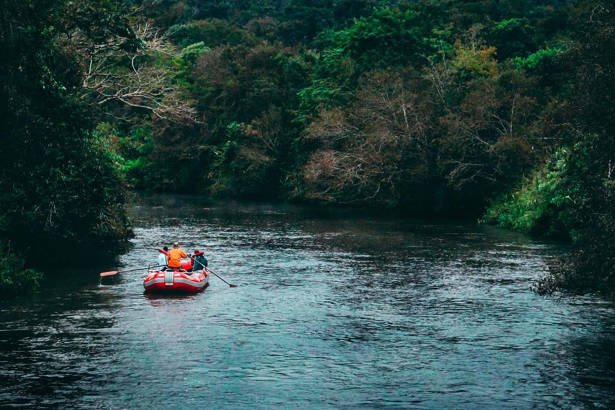 water people riding raft at the river near trees misiones