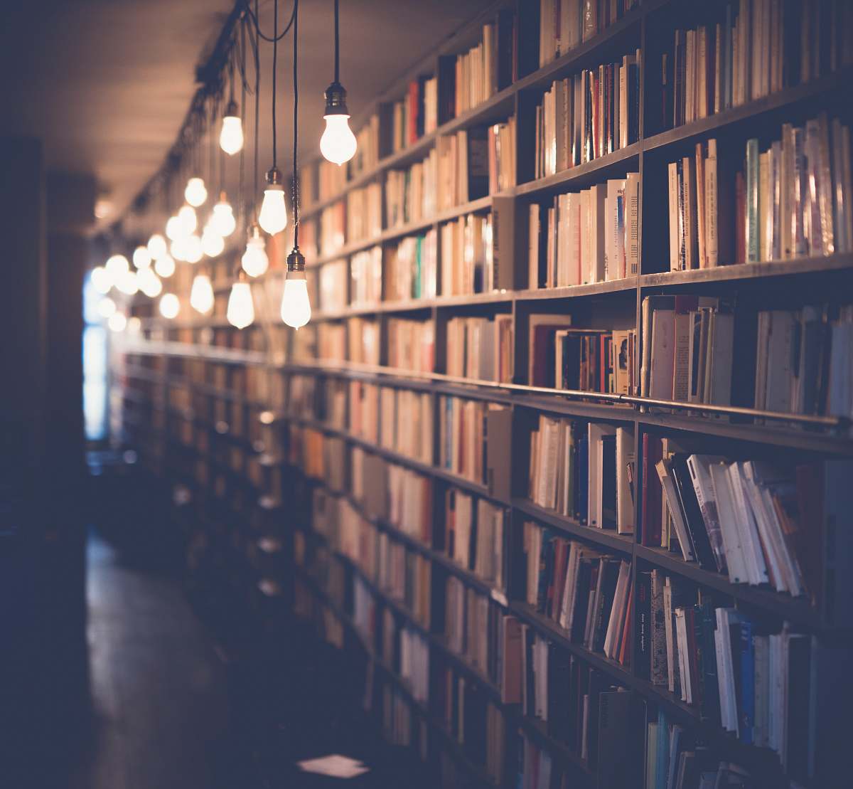 book photo of library with turned on lights library