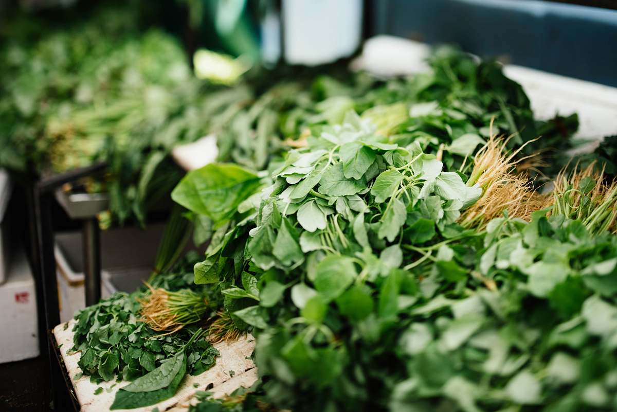 food green leafed plants on white tables parsley