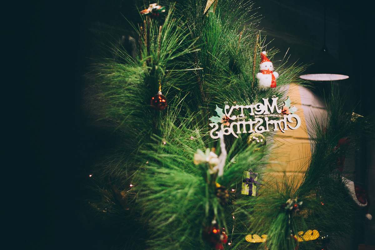 tree Merry Christmas wreath flora