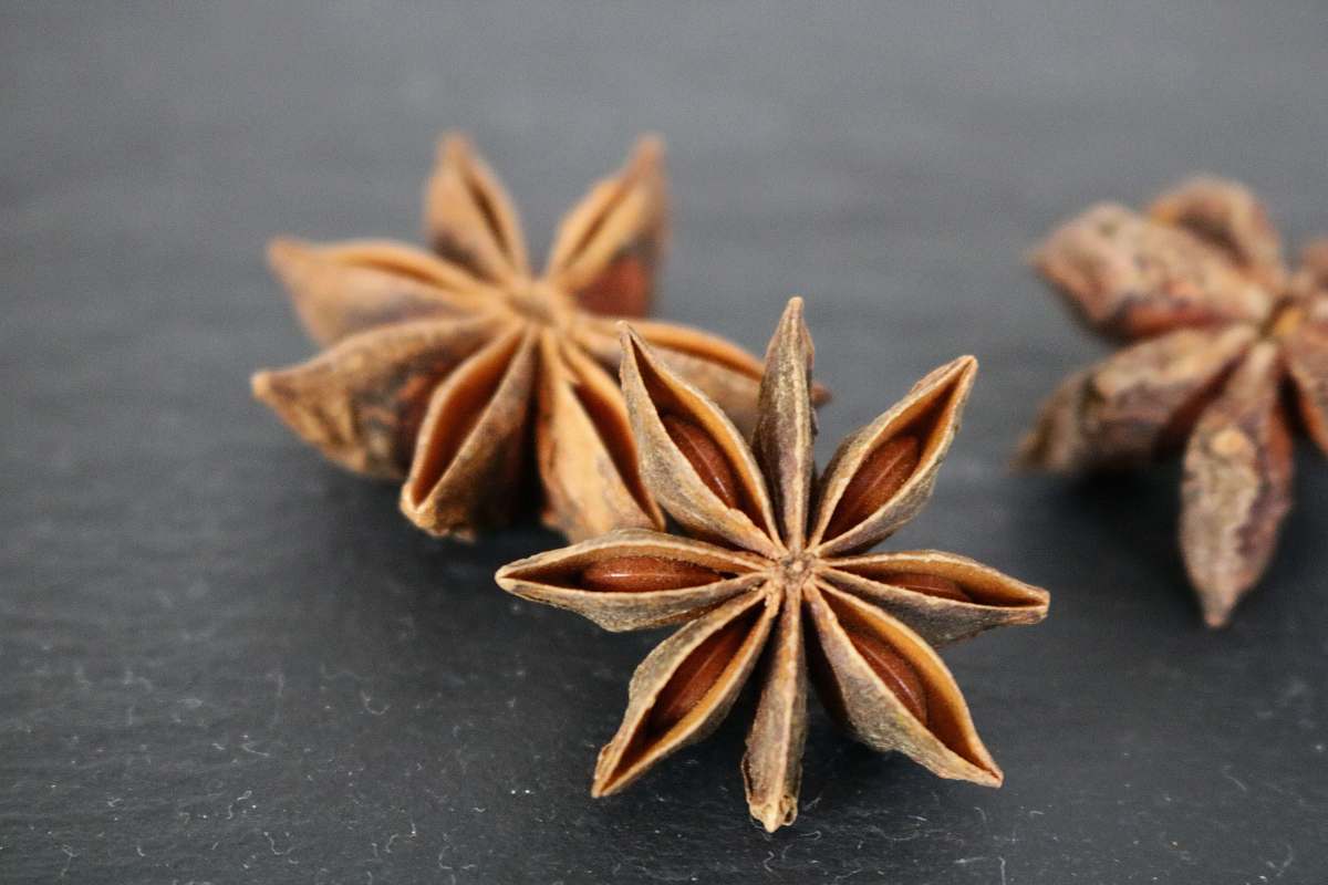 spice three star anise anise