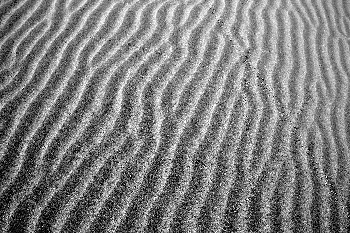 grey  black-and-white