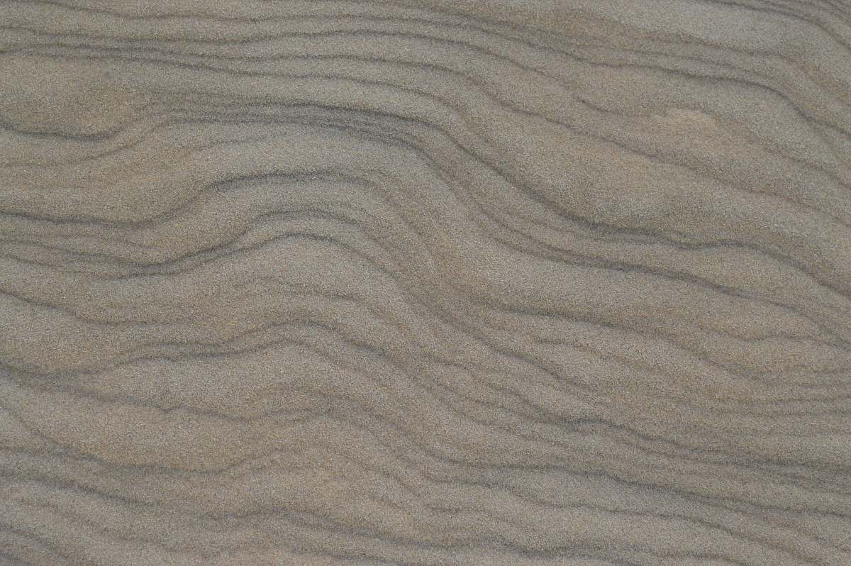 nature  grey