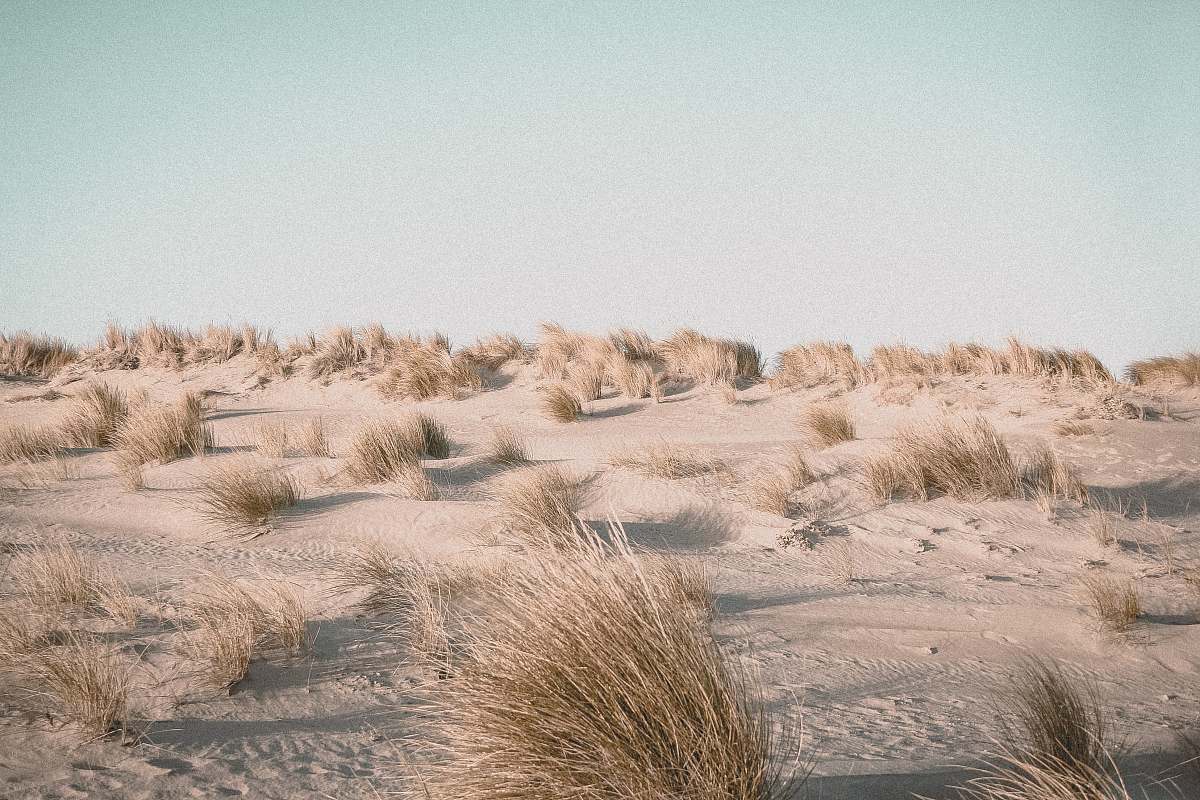 soil brown grass field during daytime nature