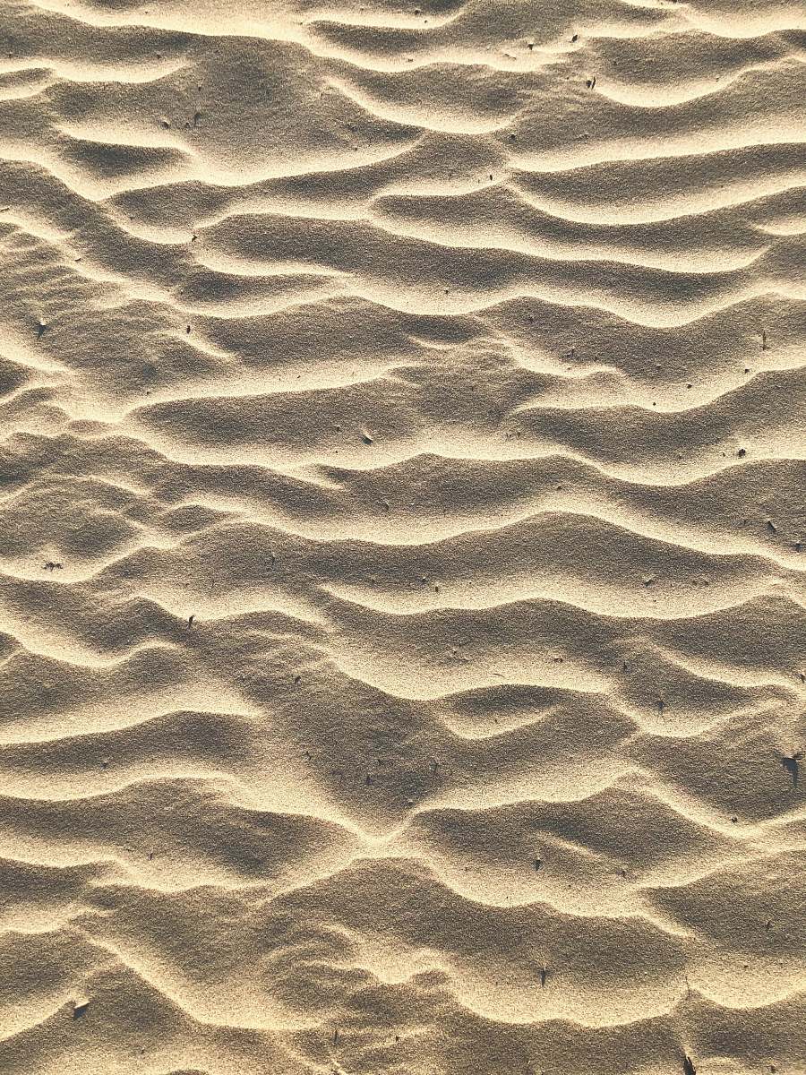 nature brown sand dunes photo outdoors