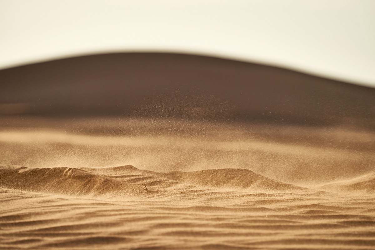 soil brown sand in closeup photography outdoors