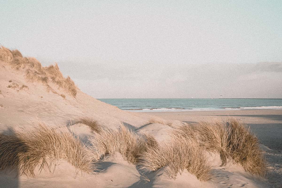 soil rock formation on beach nature