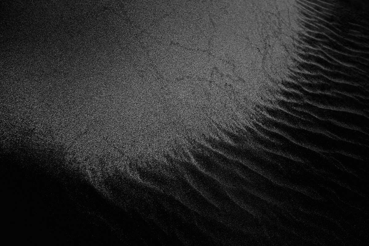 nature black crew neck t-shirt black-and-white