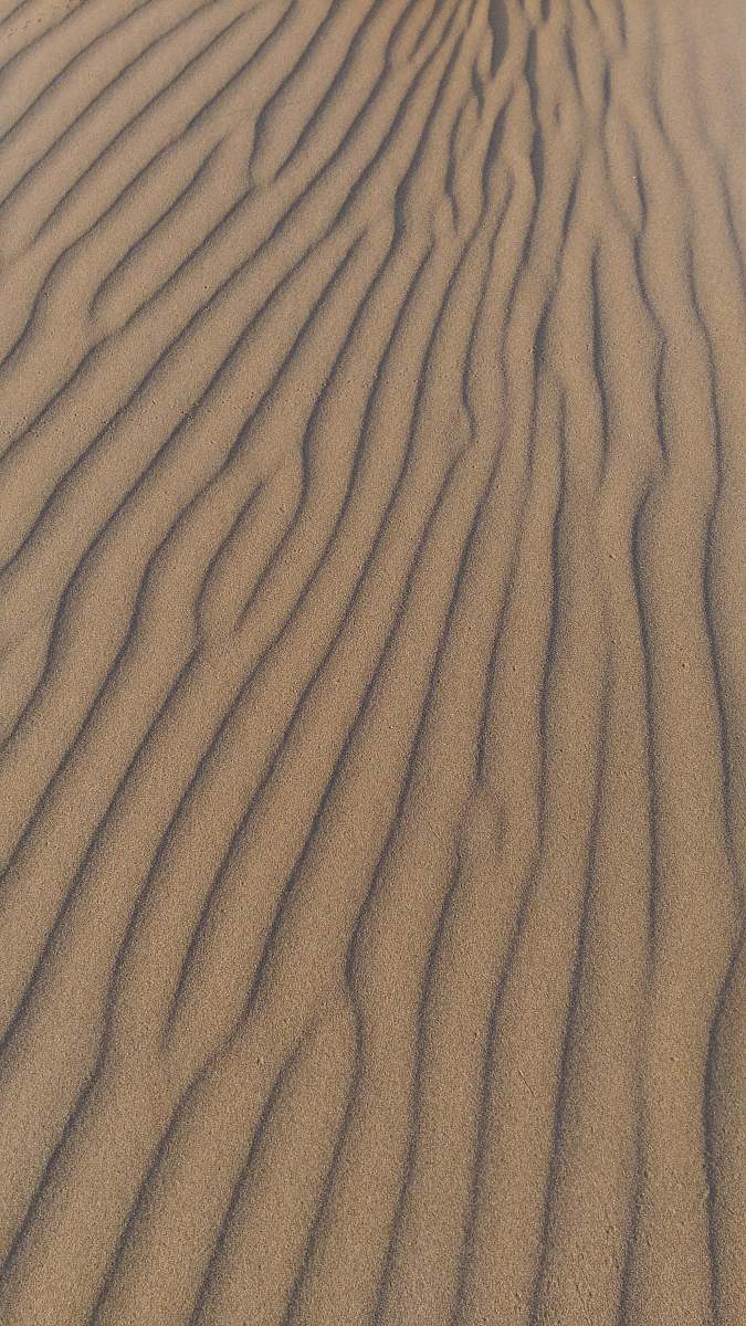 sand brown sand nature