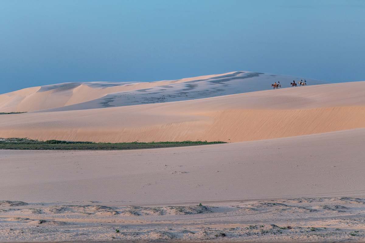 nature people and animals walking on sand dunes during golden hour sand