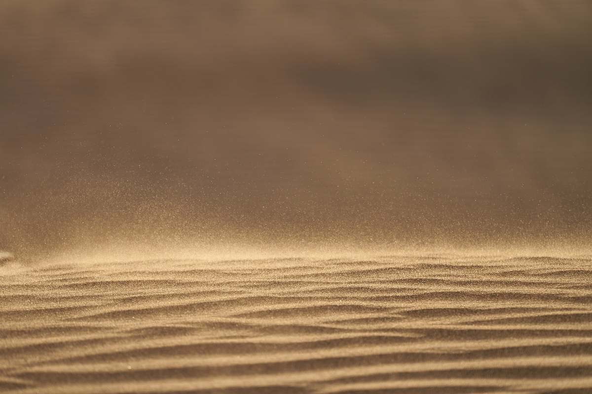 sand shallow focus photography of brown sand outdoors