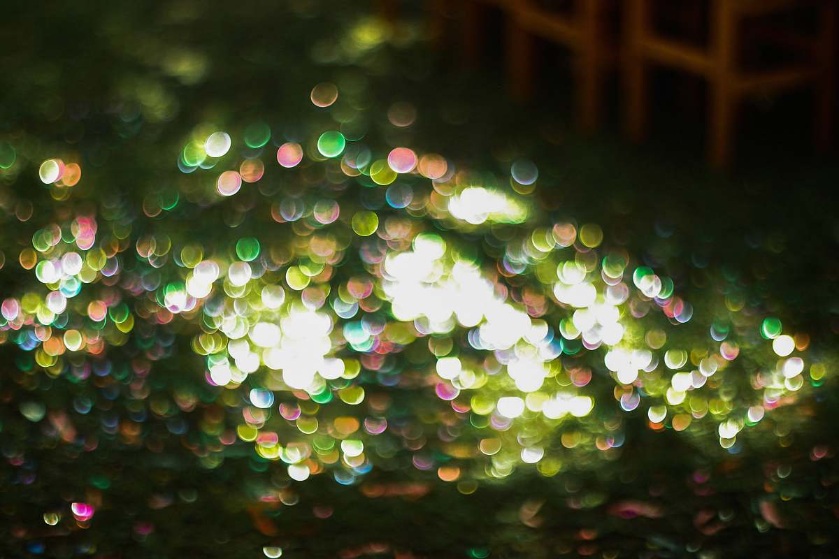lights bokeh photography of lights christmas