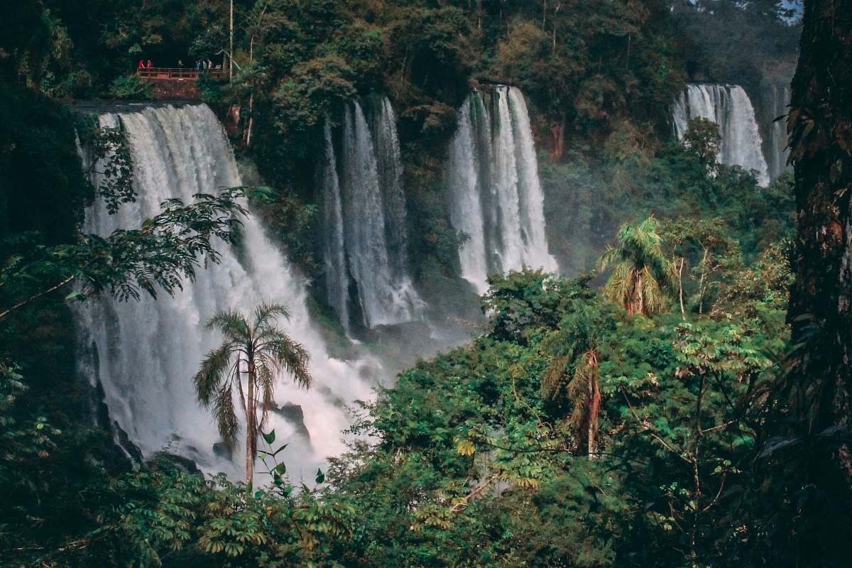 nature waterfalls at forest during daytime river