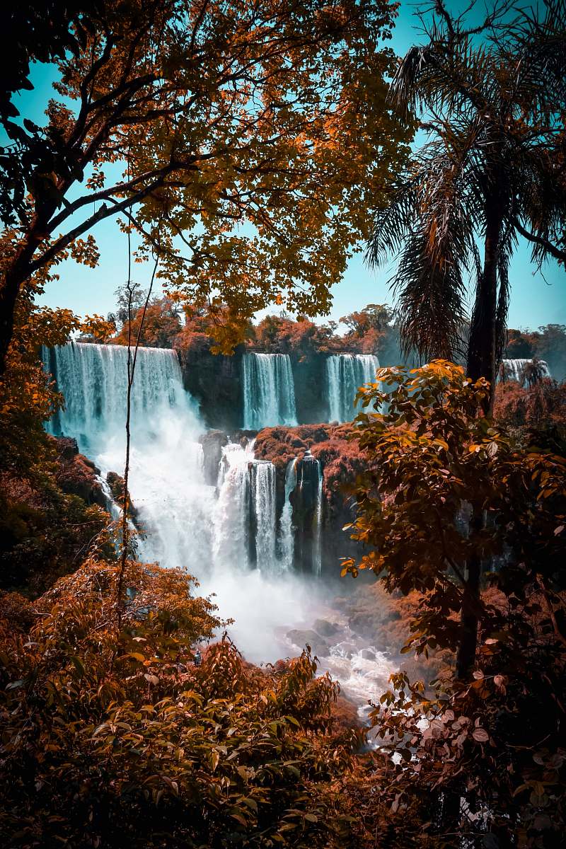 water green trees near waterfalls nature