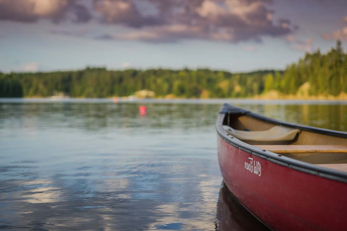 nature red canoe boat on body of water canoe