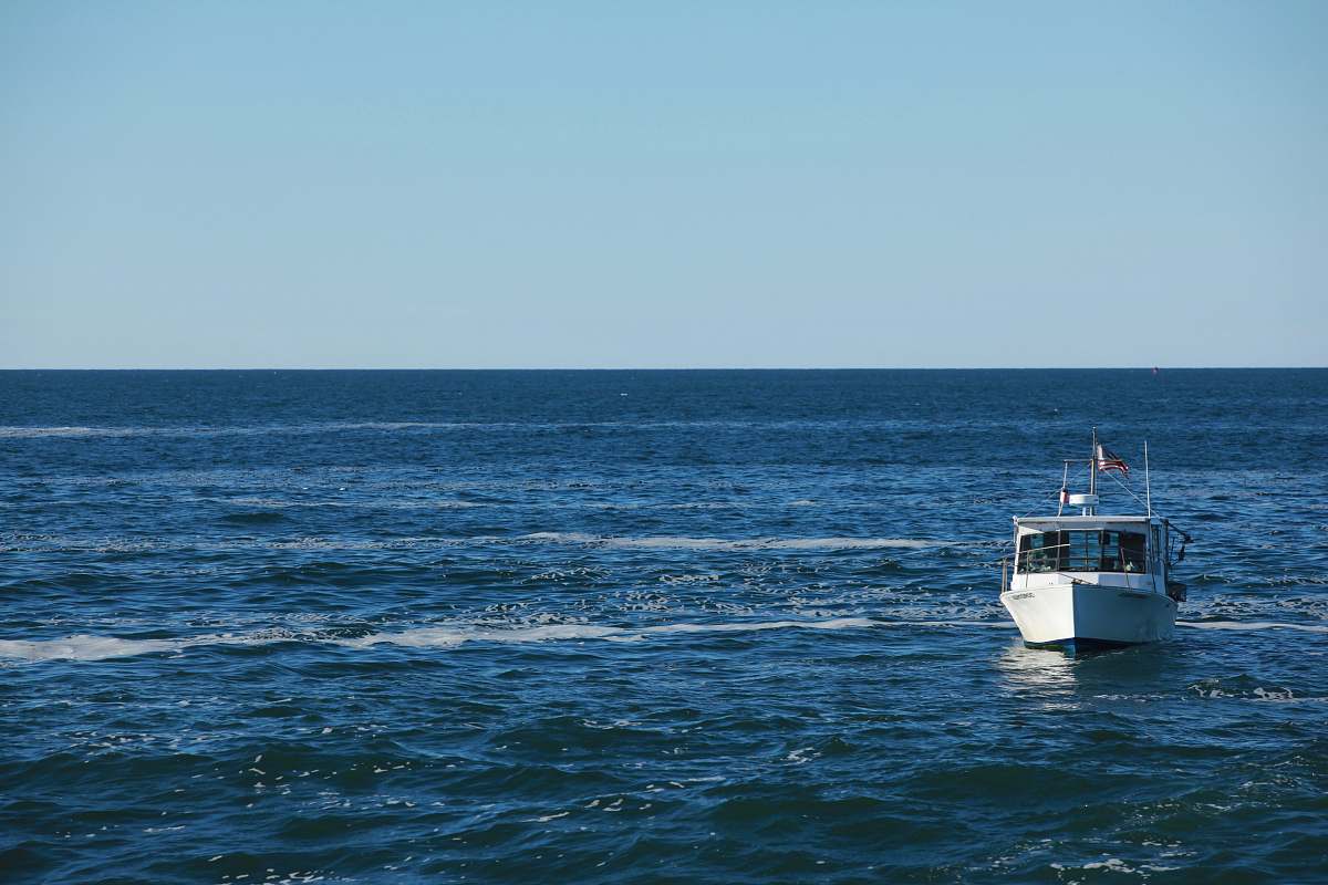 sea white motorboat at water ocean