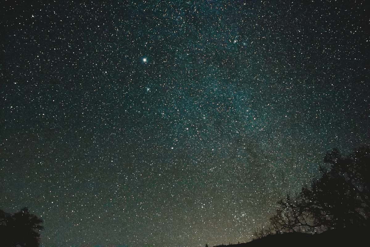 universe silhouette of trees under starry night space
