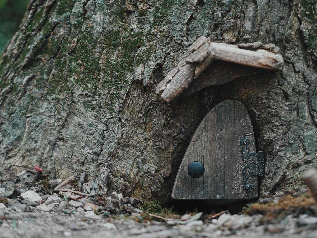 plant brown wooden tree trunk  small