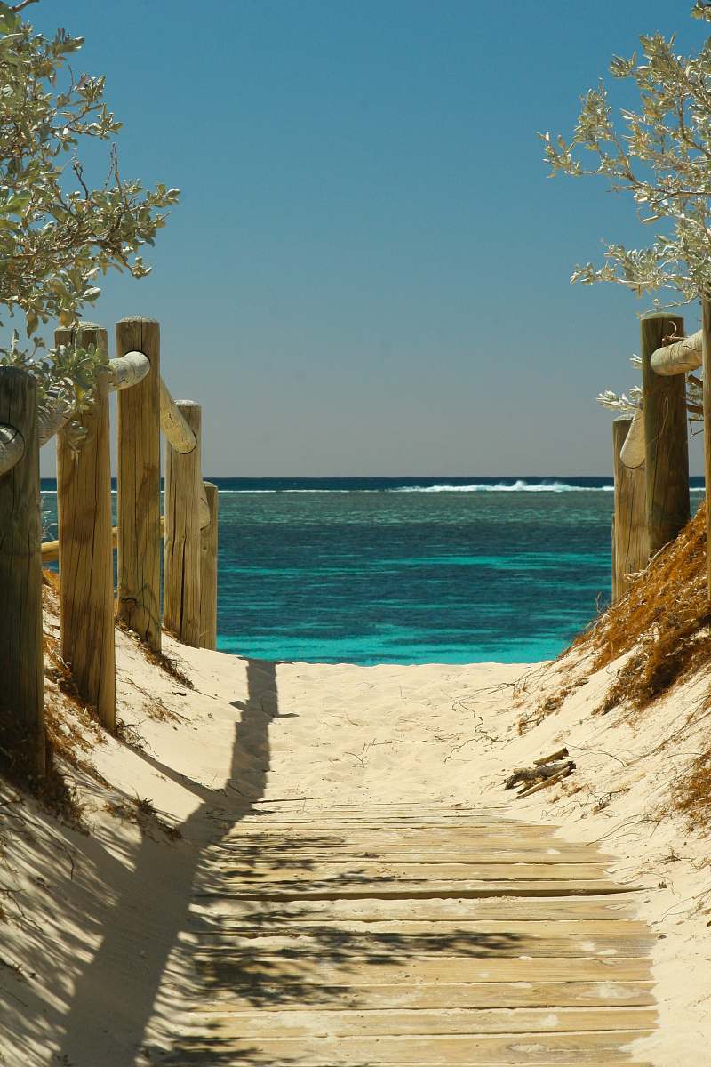 sea body of water scenery summer